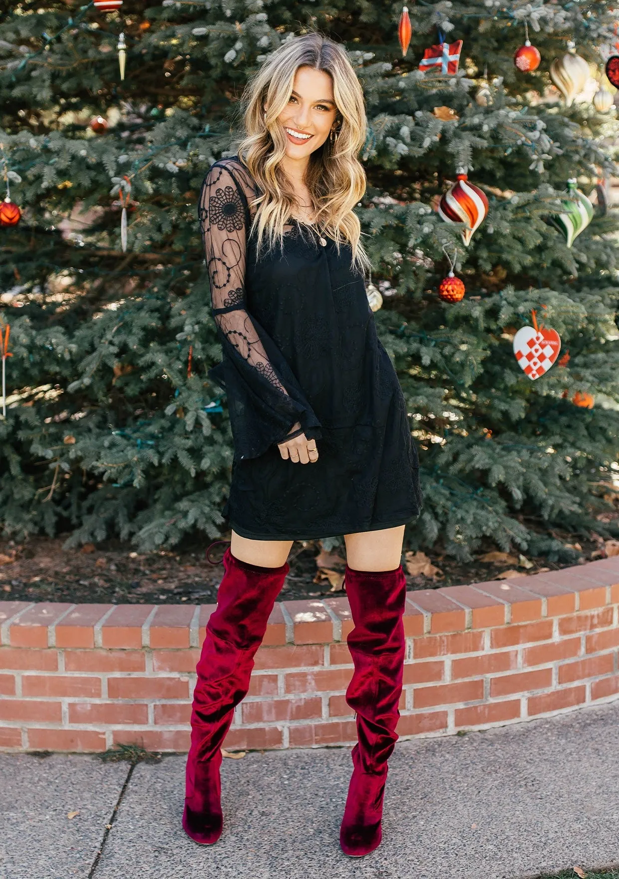 Bohemian Embroidered Mesh Bell Sleeve Mini Dress