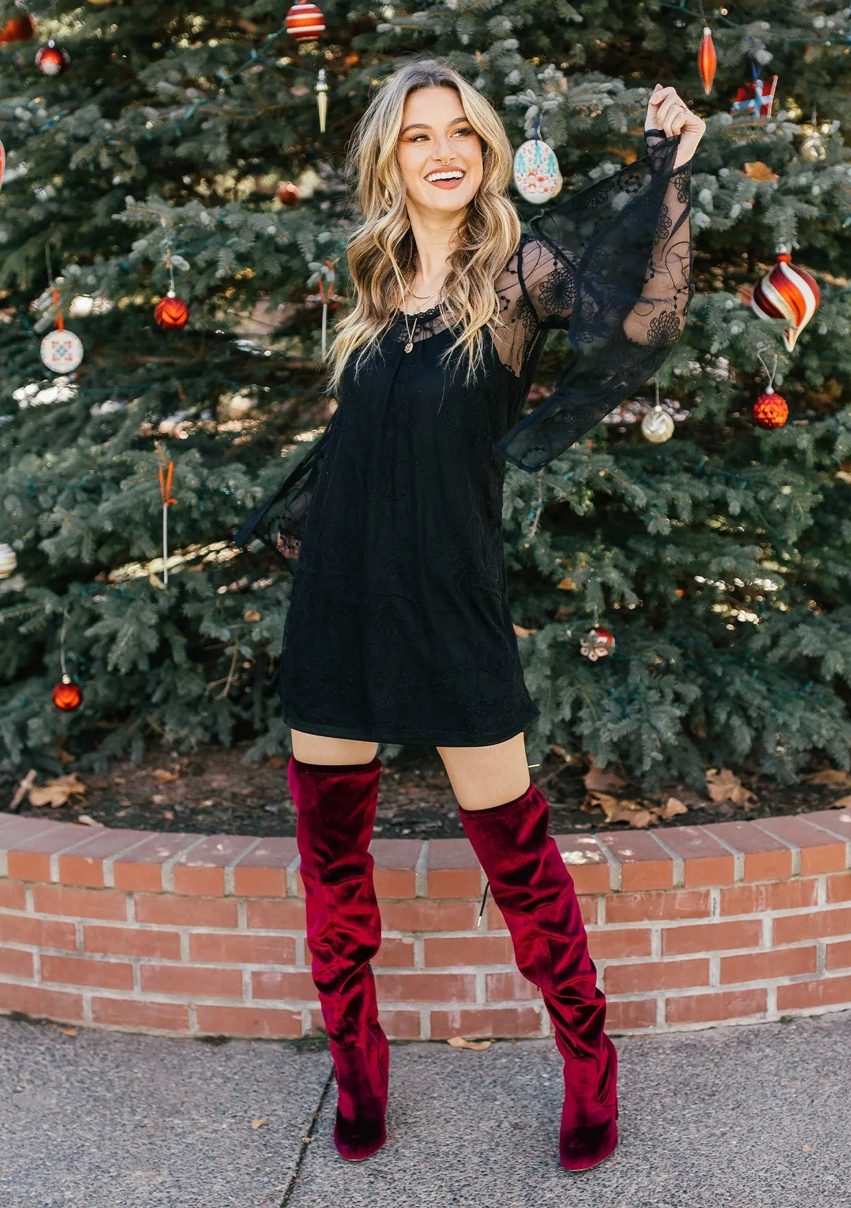 Bohemian Embroidered Mesh Bell Sleeve Mini Dress